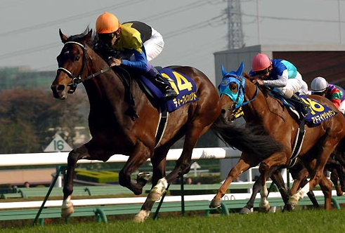 ディープインパクト ターフを駆け巡る衝撃 ゼロから始める競馬入門